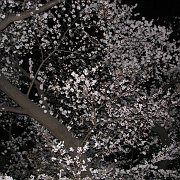 2008-03-26_030