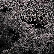 2008-03-26_031
