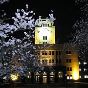2008-03-26_038