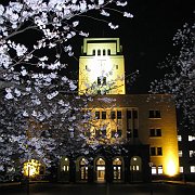 2008-03-26_039