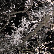2008-03-26_040