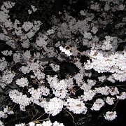 2008-03-26_041