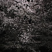 2008-03-26_042