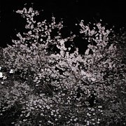 2008-03-26_043