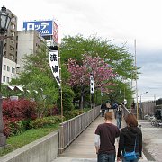 2008-04-19_001