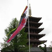 2008-04-19_016