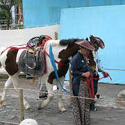 2008-04-19_023