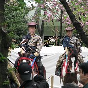 2008-04-19_084
