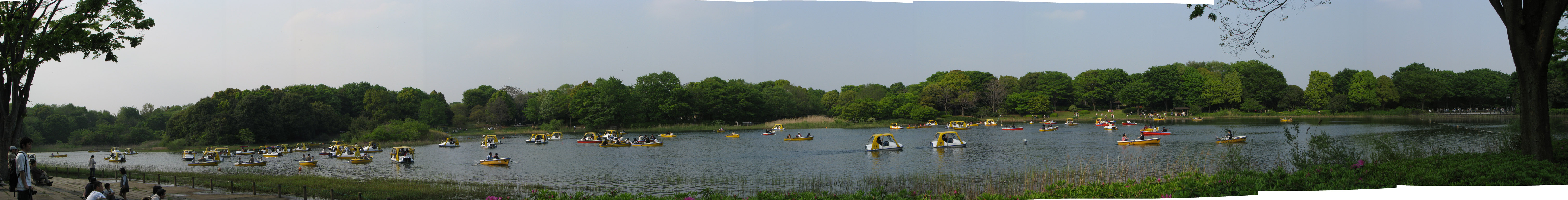 2008-04-29_056