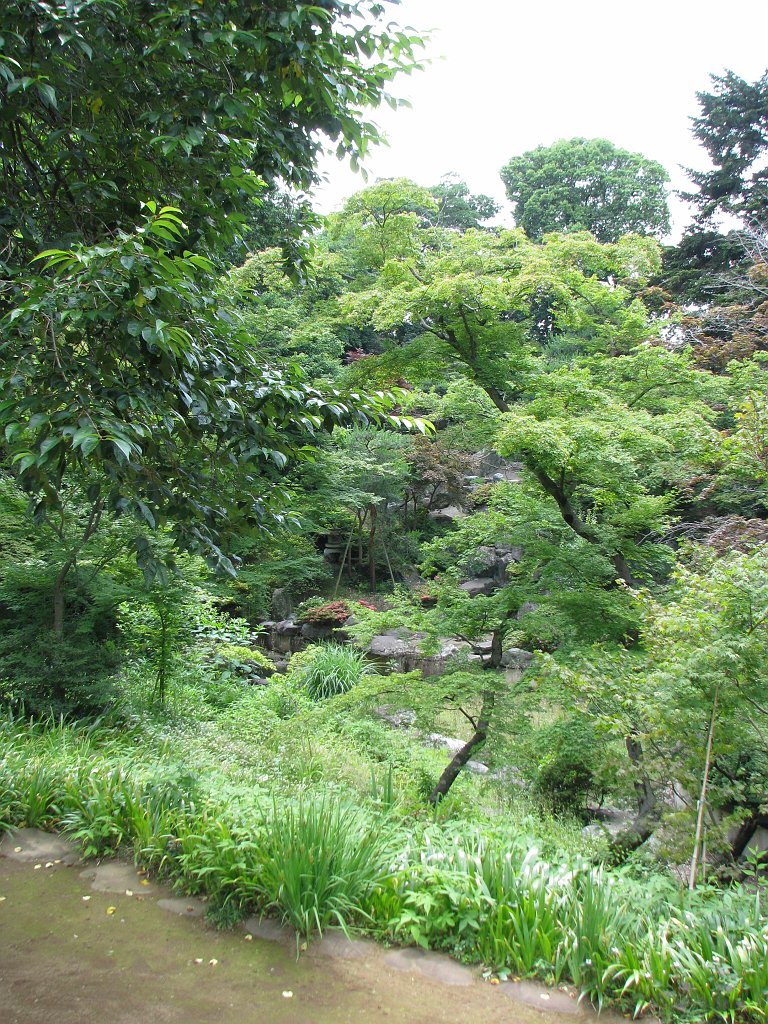 2008-06-15_038