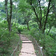 2008-06-17_004