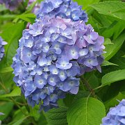 2008-06-17_007