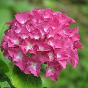2008-06-17_009