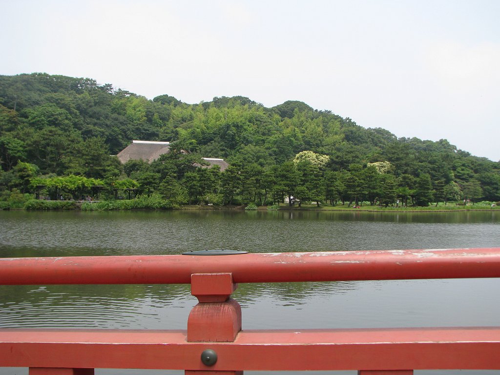 2008-07-06_031
