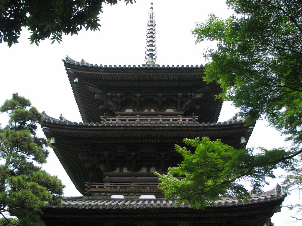2008-07-06_057