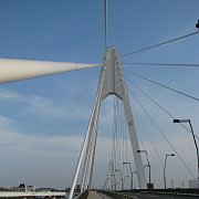 2008-07-19_056
