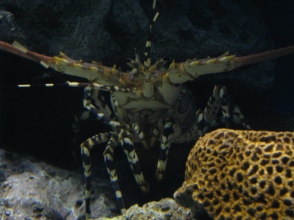 2008-09-14_060