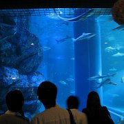 2008-09-14_002
