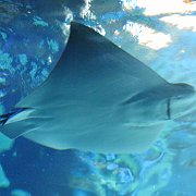 2008-09-14_004