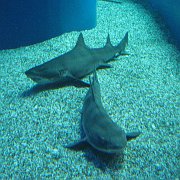 2008-09-14_005