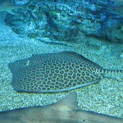2008-09-14_007