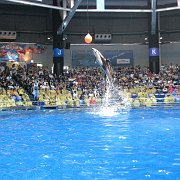 2008-09-14_028
