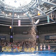 2008-09-14_037