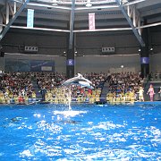 2008-09-14_040