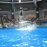2008-09-14_044