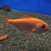 2008-09-14_048