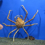 2008-09-14_049