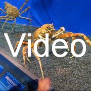 2008-09-14_050