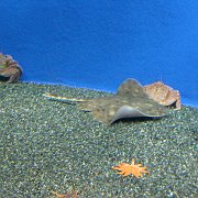 2008-09-14_052