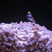 2008-09-14_057