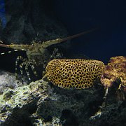2008-09-14_059