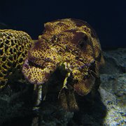 2008-09-14_061