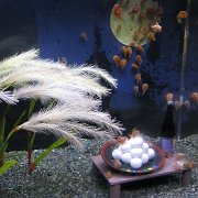2008-09-14_065