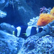 2008-09-14_069