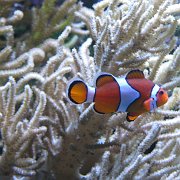 2008-09-14_072