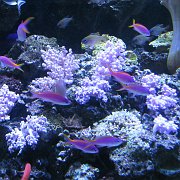 2008-09-14_073