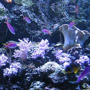 2008-09-14_077