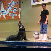 2008-09-14_086