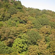 2008-10-04_027