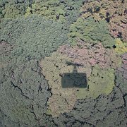 2008-10-04_028