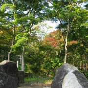2008-10-04_072