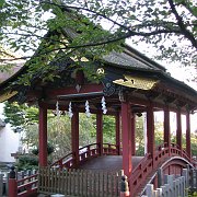 2008-10-04_097