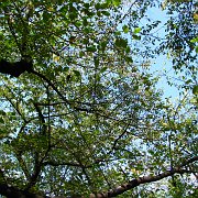 2008-10-13_030
