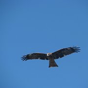 2008-11-23_015