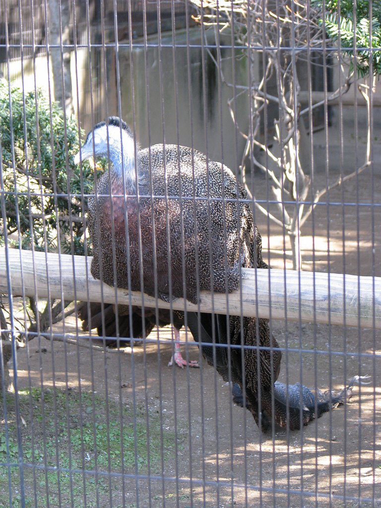 2009-01-04_004