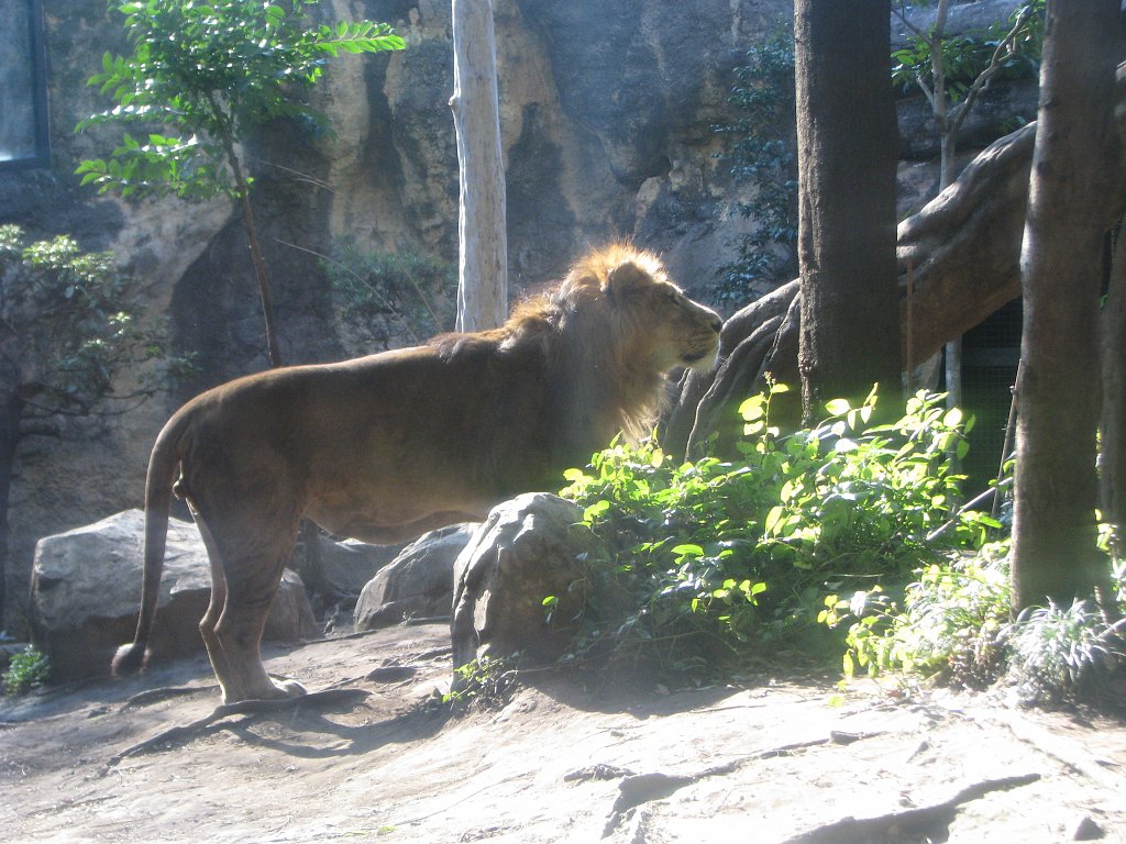 2009-01-04_032